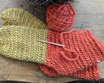 PXL_20250524_113702342